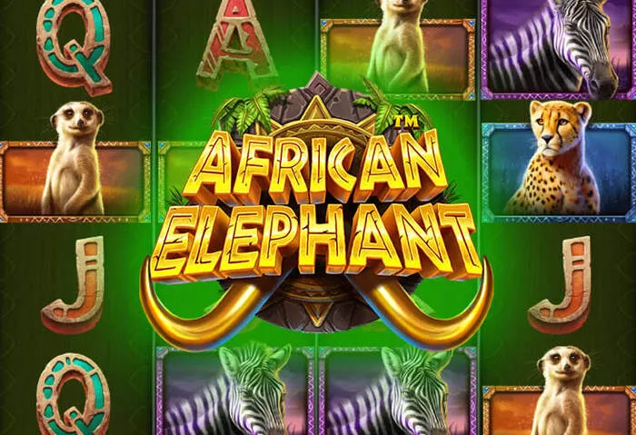 Rollettocasino website featuring a variety of online casino games, slots, and live dealer experiences.